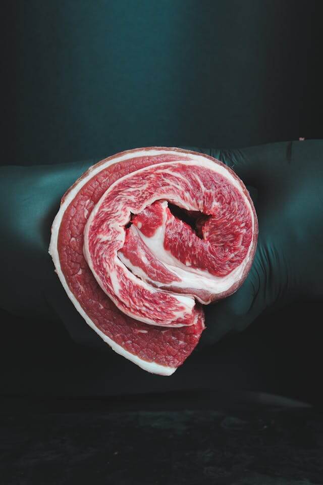 한우 사진