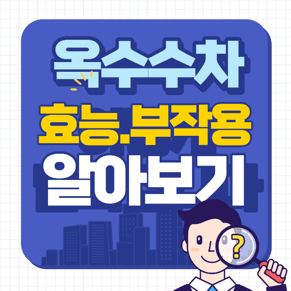 옥수수 차 효능·부작용·끓이는 방법