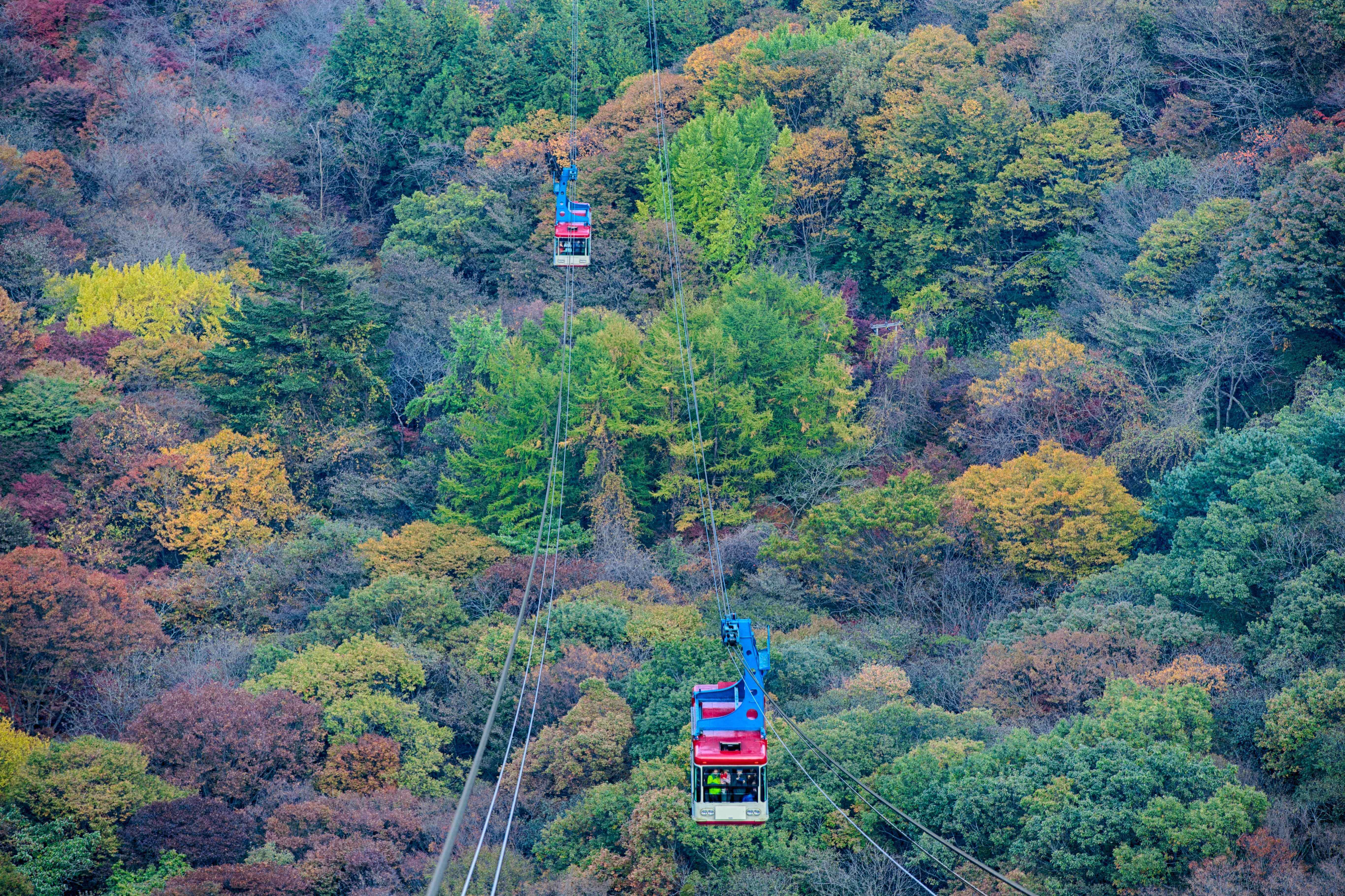 내장산케이블카