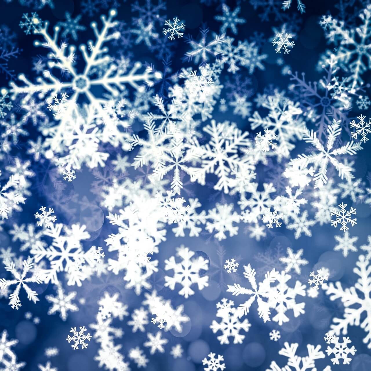 청계천빛초롱축제 100% 즐기는 완벽 가이드