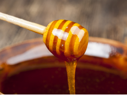개는 꿀을 먹어도 괜찮을까?
