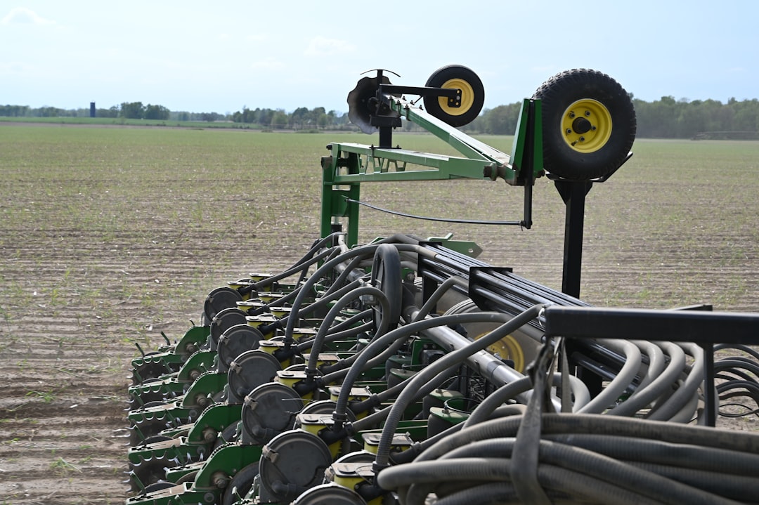 Soybean.