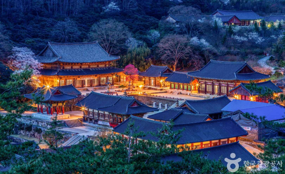 전국 매화 명소 구례 화엄사 2