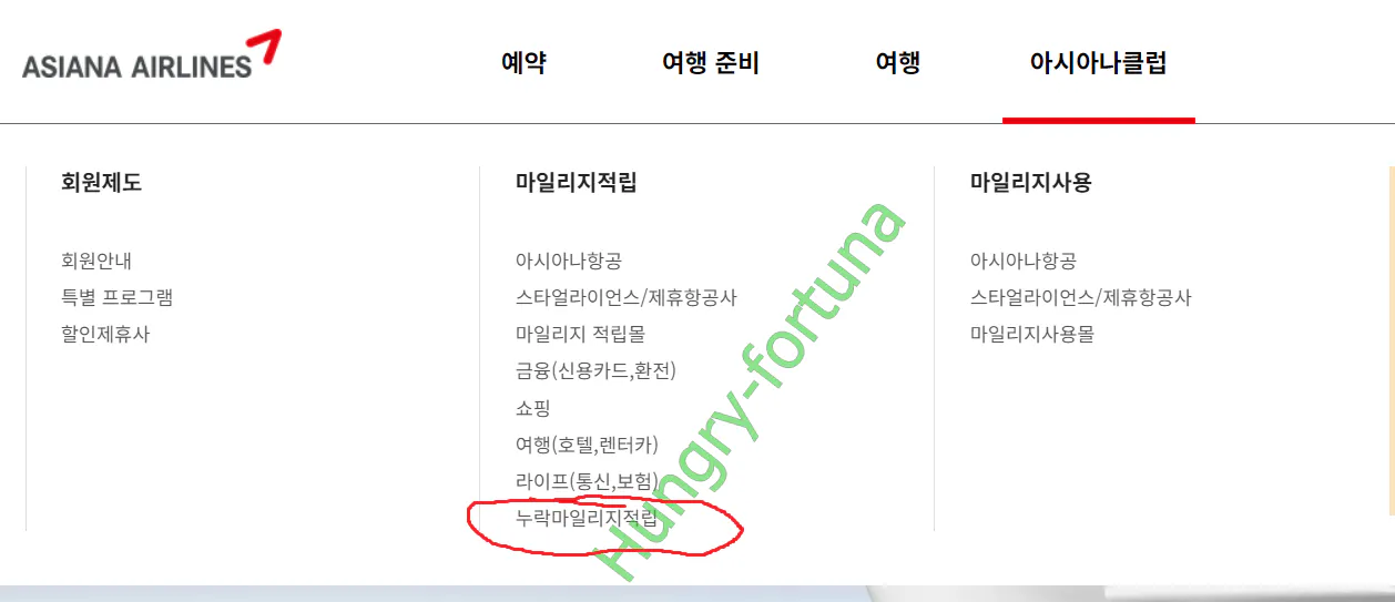 폴란드항공-마일리지