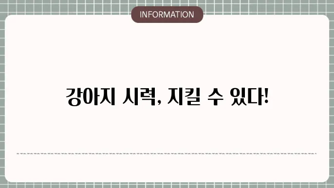 강아지 백내장 영양제 제품: 
