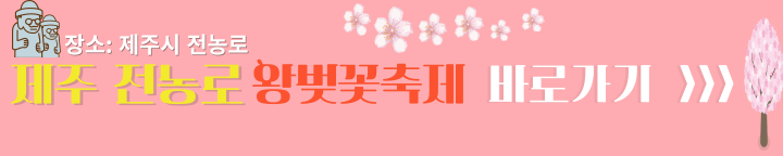 제주시 왕벚꽃축제 바로가기