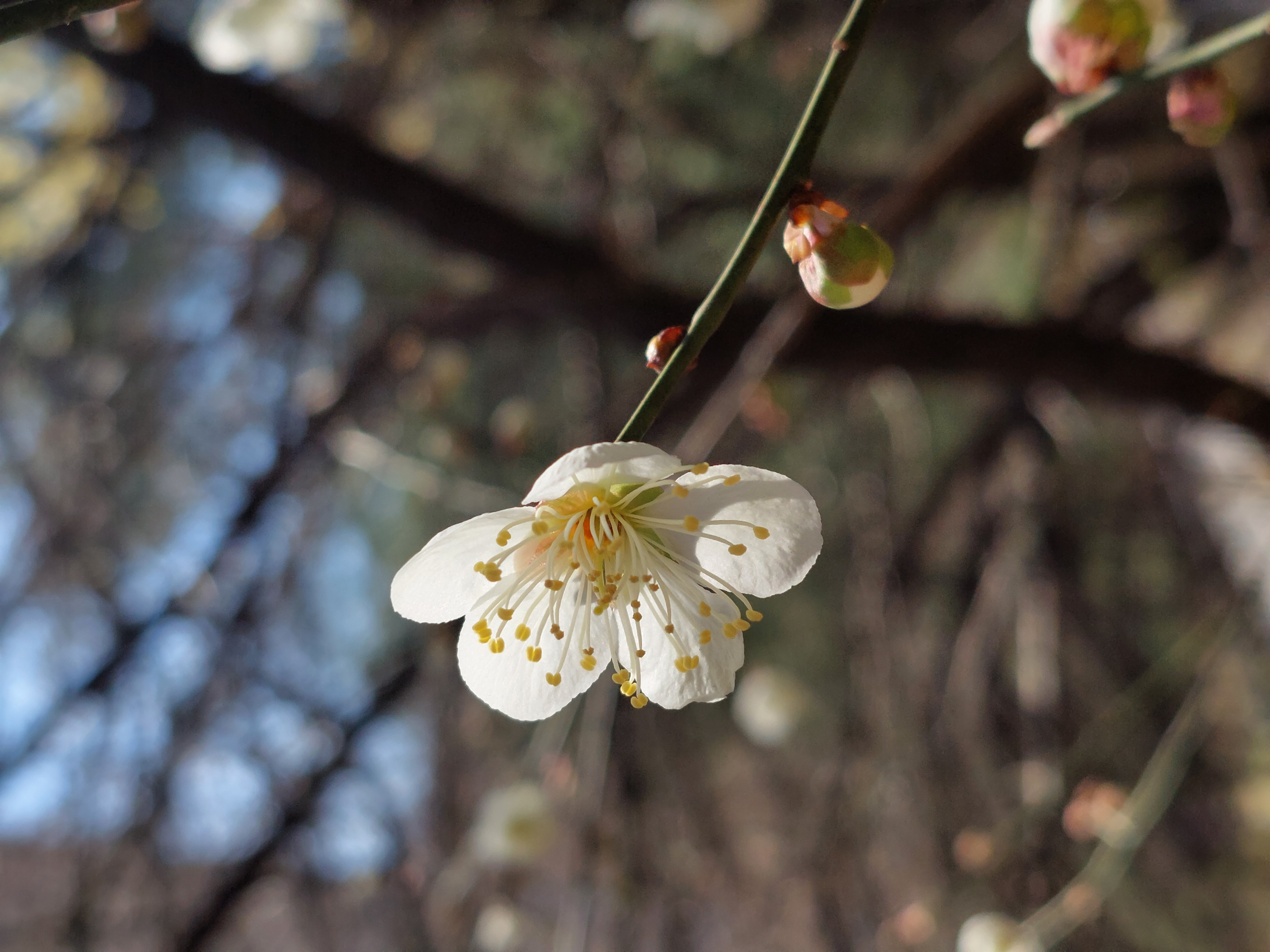 안산