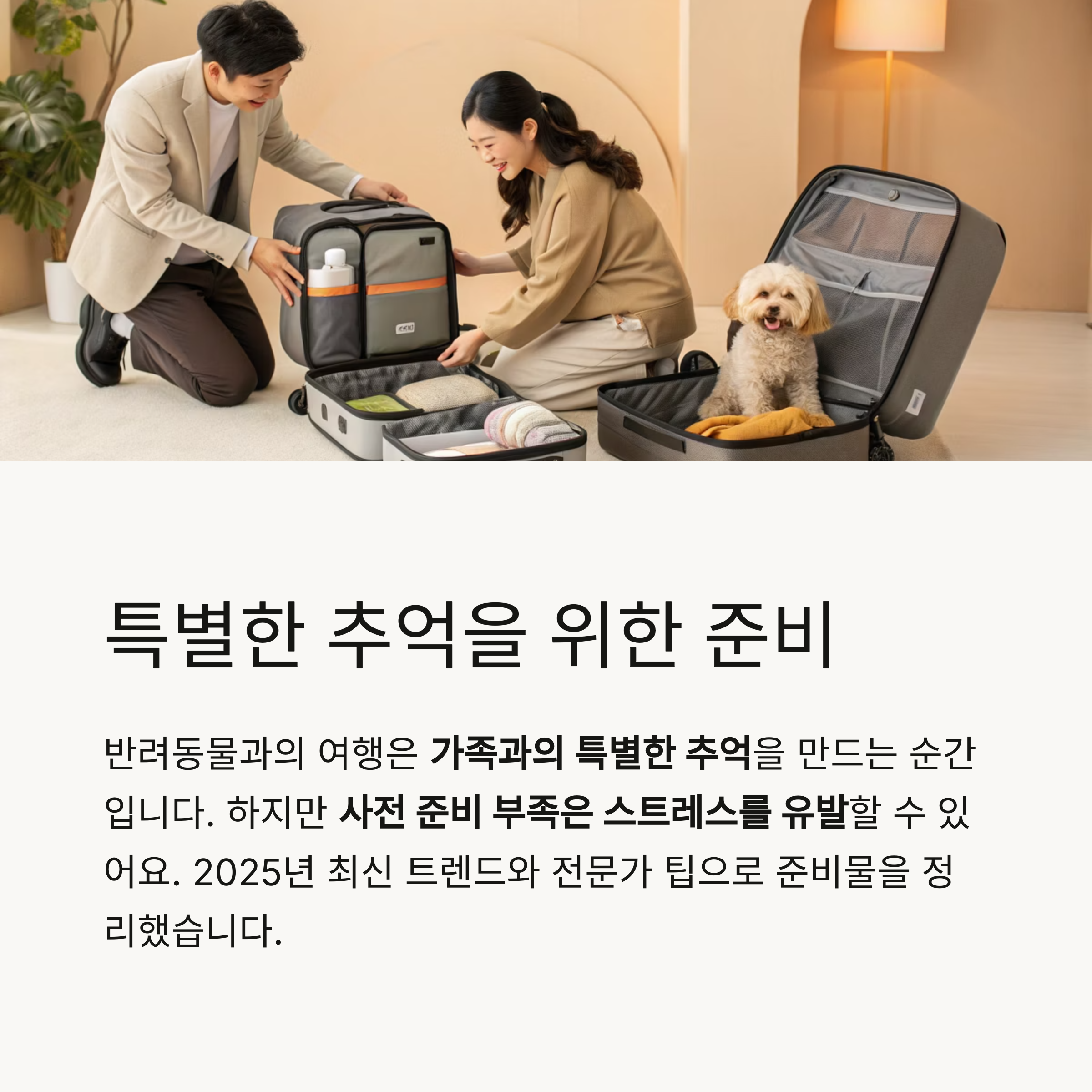 추억을 위한 준비