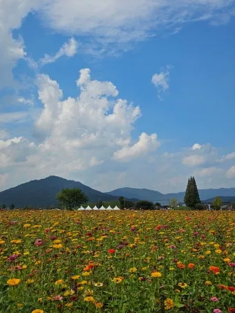 가을 경주 여행 가볼만한곳 베스트 10으로 정리_18