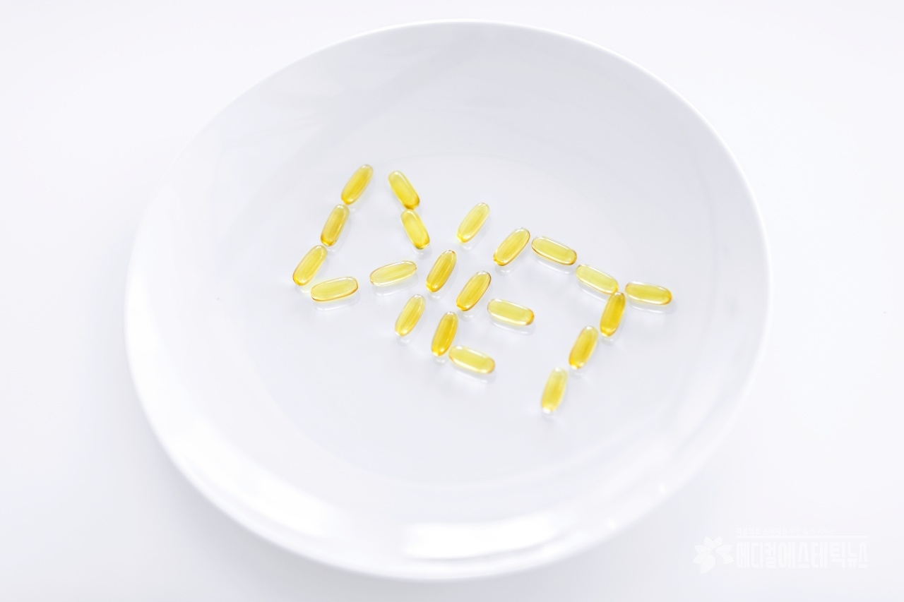 다이어트 보조제 순위