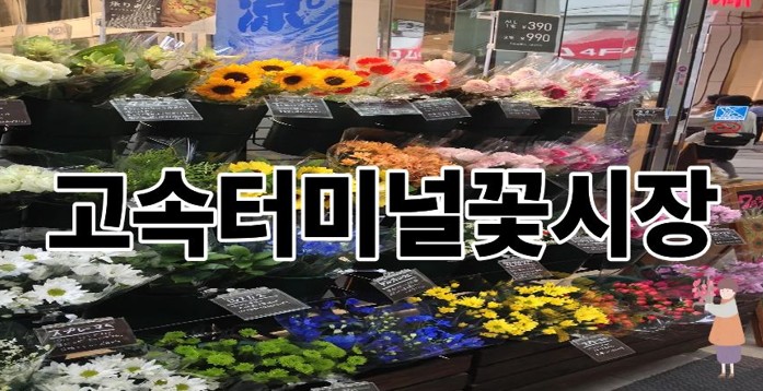 고속터미널꽃시장
