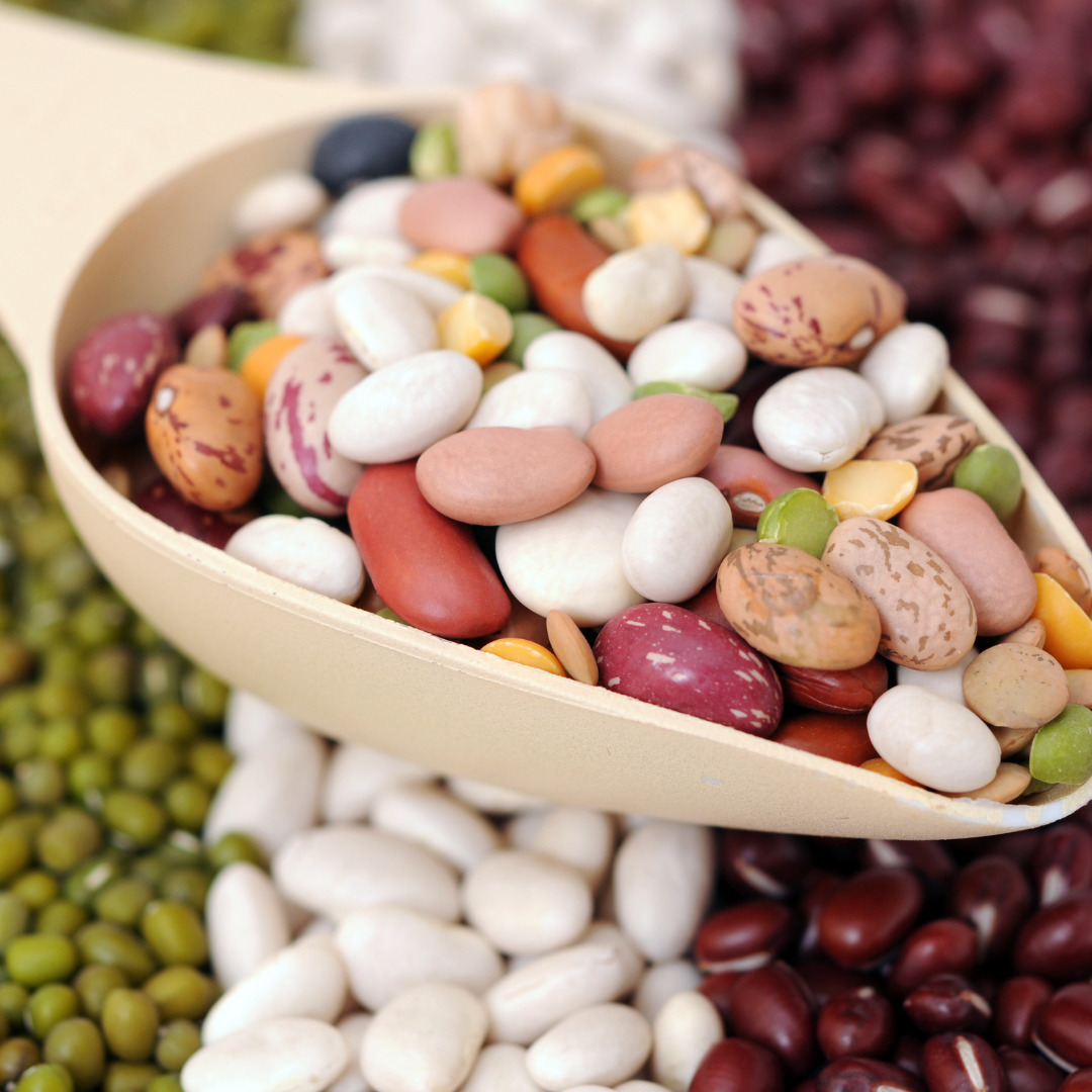 콩의 효능과 콩의 종류