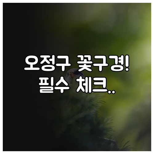 오정구 주요 공원 3월 개화 시기와 ..