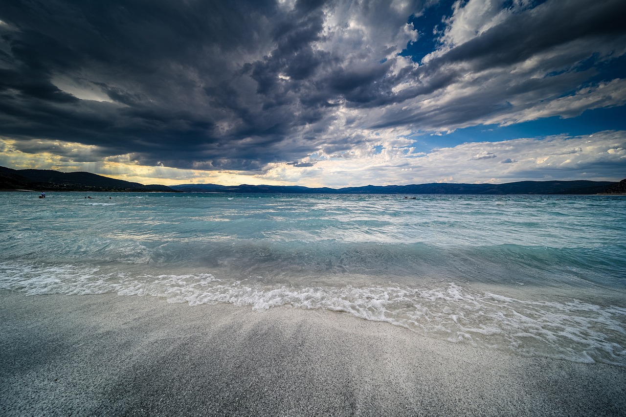 장 건강과 면역력의 관계: 올바른 장내 환경 만들기