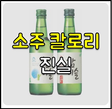 소주 칼로리 1