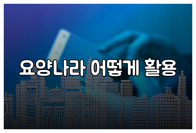 요양나라 어떻게 활용