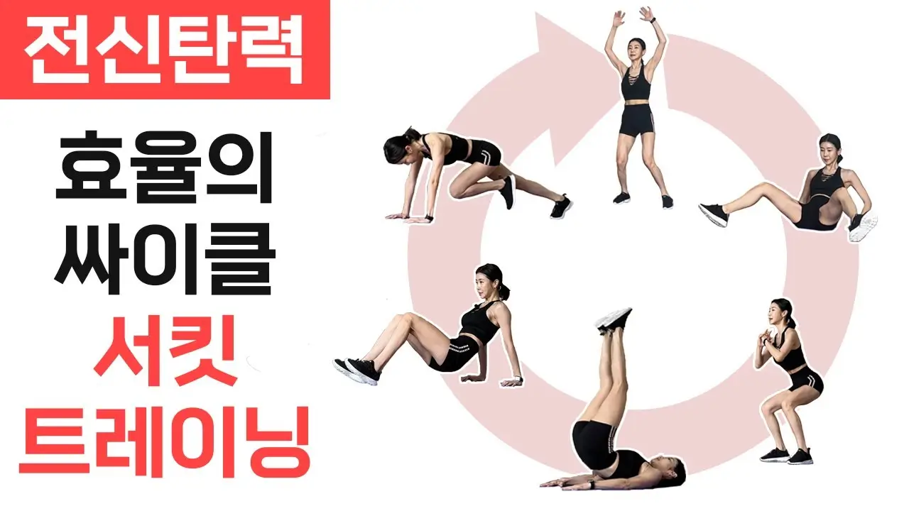 서킷 트레이닝 루틴