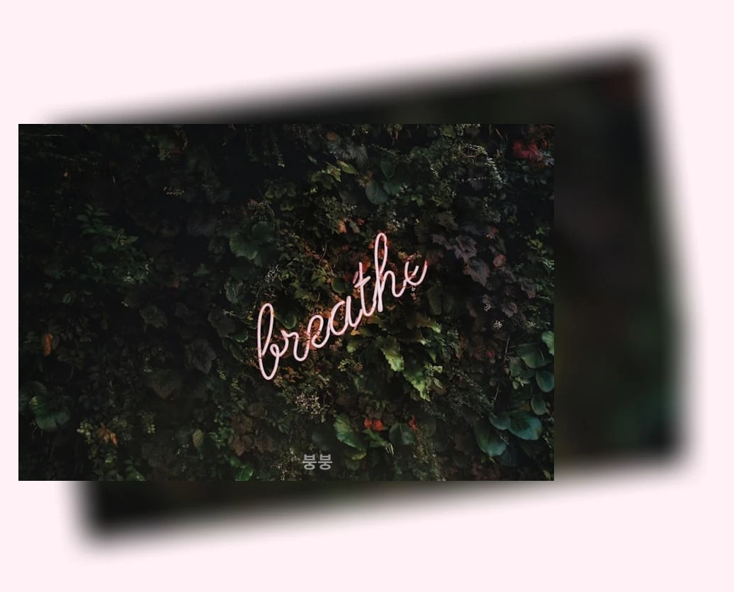 마음챙김 명상_3_subsection
