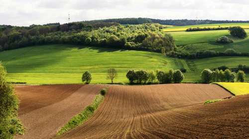 하브루타실천법