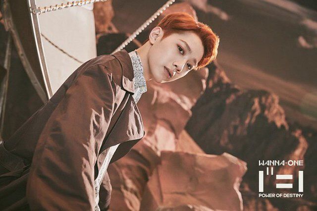 워너원 화보사진