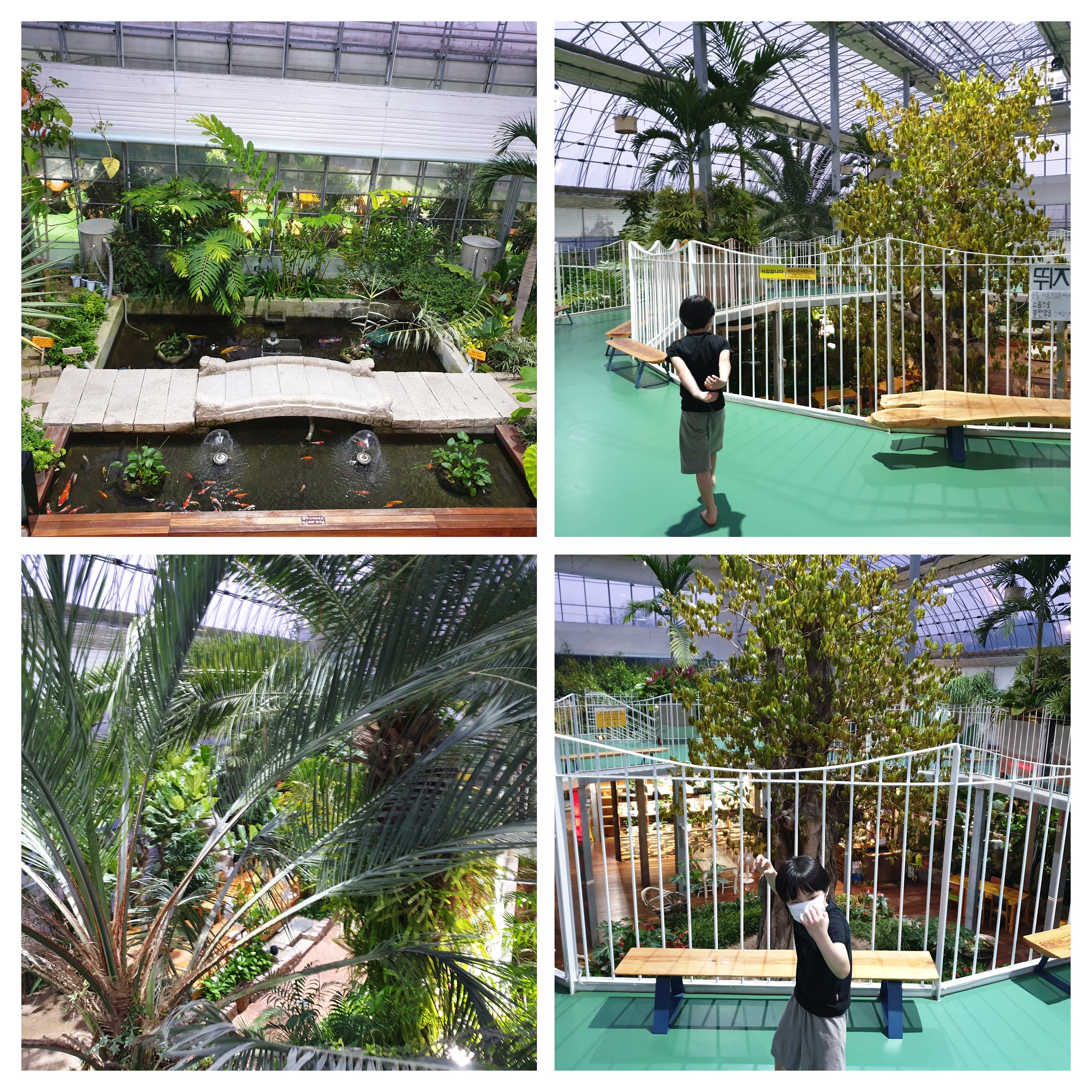 바오밥식물원베이커리카페 후기