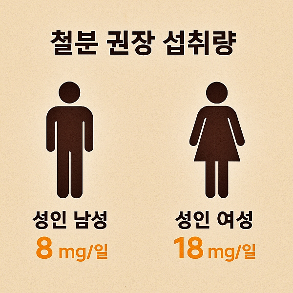 철분 하루 권장 섭취량