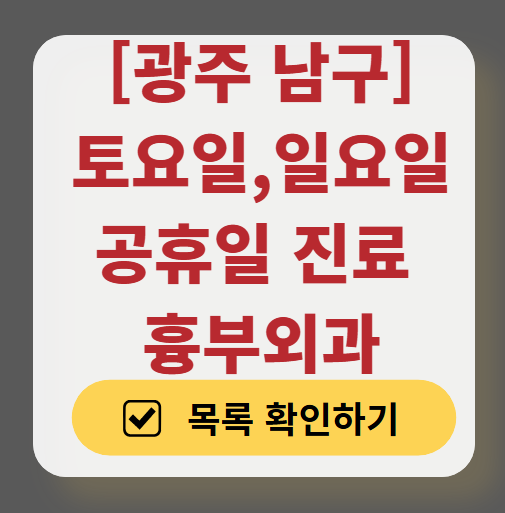 광주 남구 토요일 일요일 흉부외과 진료 병원 목록 ❘ 주말 공휴일 진료 영업 병원 리스트 찾기