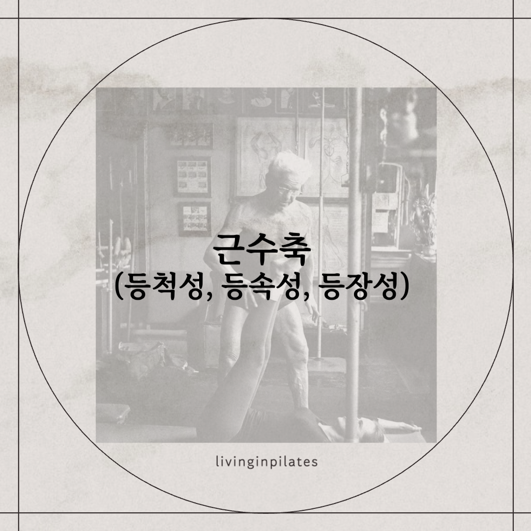 근수축에 대해서