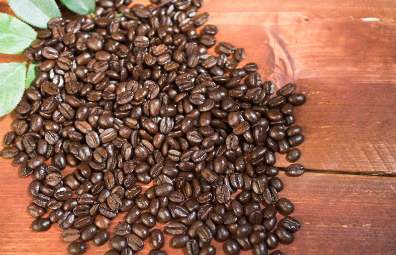 강릉 커피축제 2025