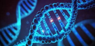 [생명공학 기술] '슈퍼베이비' 시대가 다가오고 있을까_ 우성 배아 선택 기술