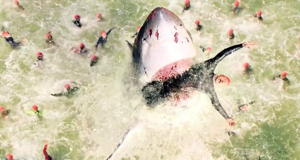 상어에게 잡아 먹히는 선수들