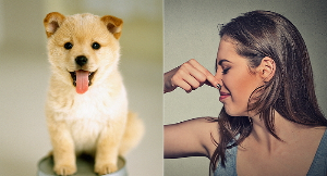 강아지모습과 코를 막고있는 여자모습