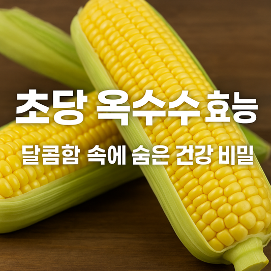초당 옥수수 효능, 달콤함 속에 숨은 건강 비밀