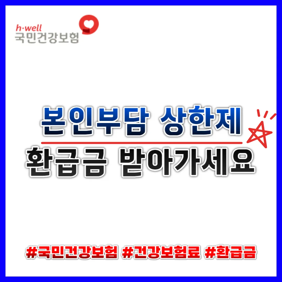 본인부담상한제