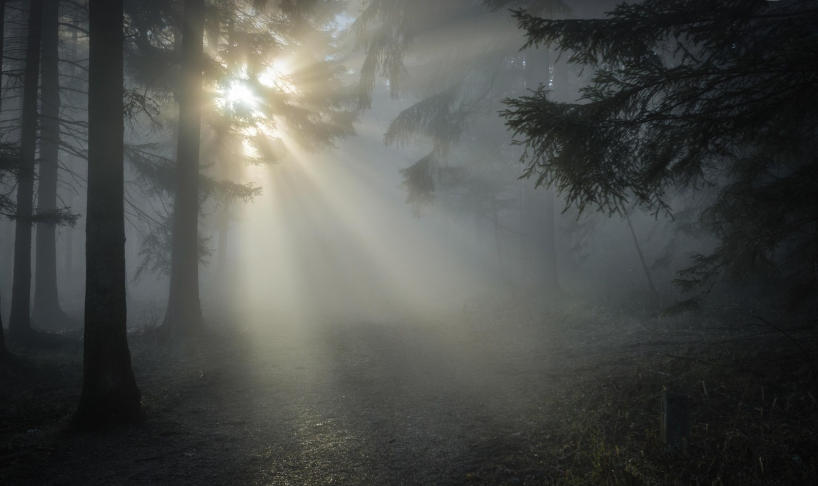 산에 햇살이 비추는 느낌적인 사진