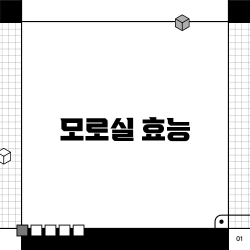 모로실 효능