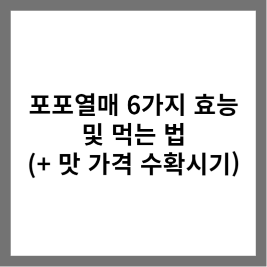 포포열매 6가지 효능 및 먹는 법 (+ 맛 가격 수확시기)