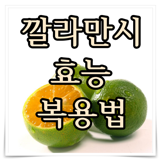 깔라만시 효능 복용법