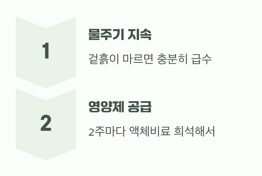 땅속 보물을 살찌우는 시간 (물과 비료)