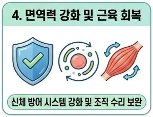 알부민 복용시간
