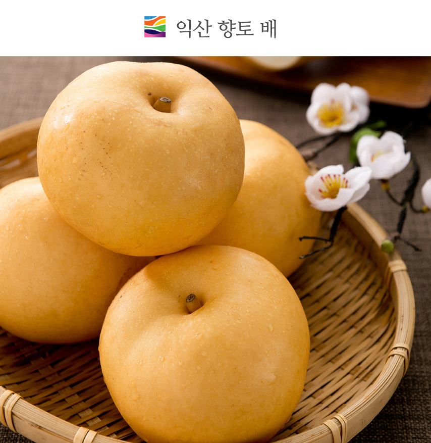 고향사랑기부제 답례품 추천