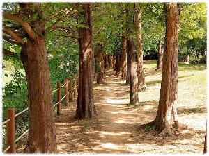 고양피크닉시민공원