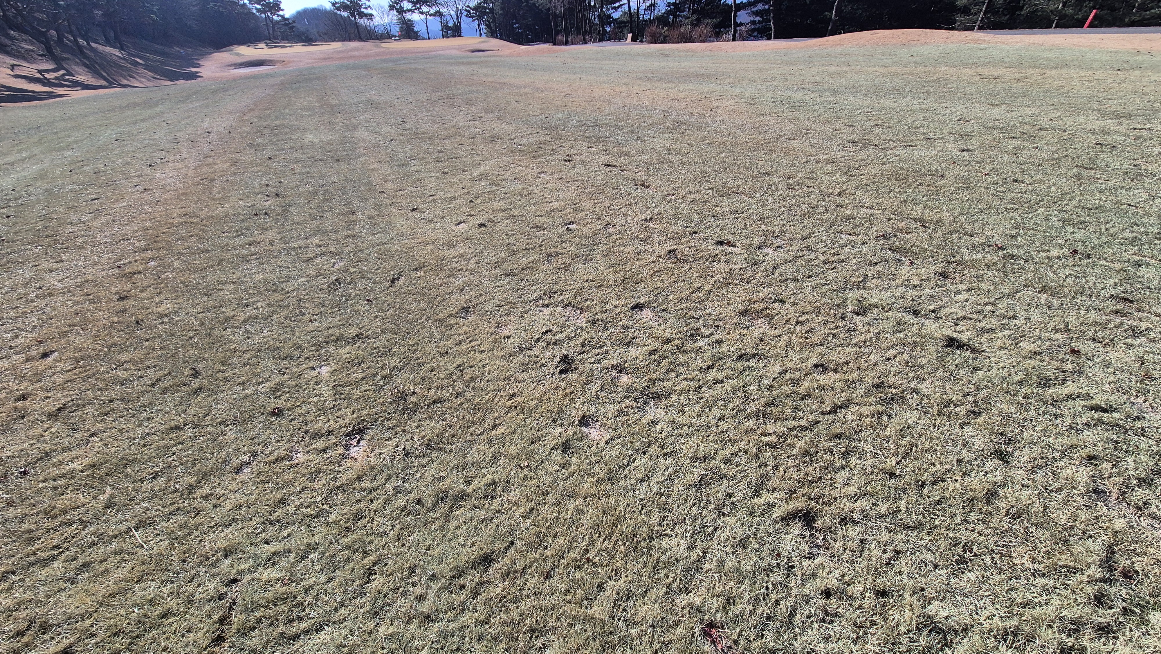 로제비앙gc 로제-비앙 코스 관리 상태