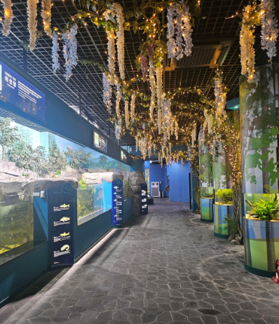 다누리아쿠아리움7