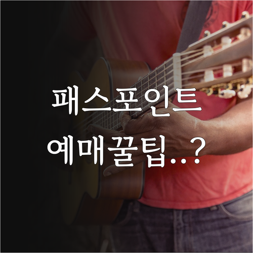 청년문화예술패스 포인트 지급 절차와 ..