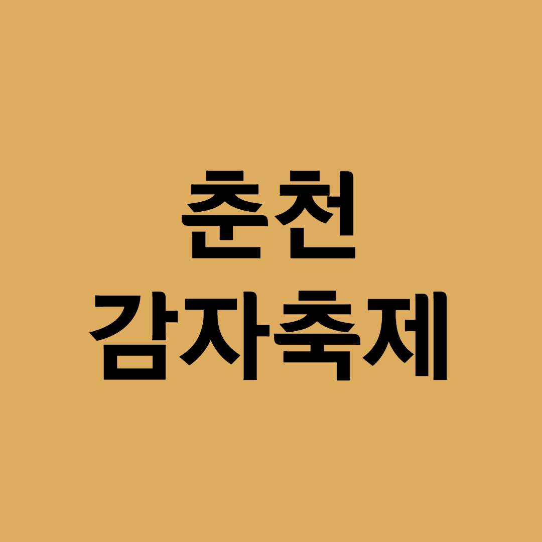 춘천 감자 축제