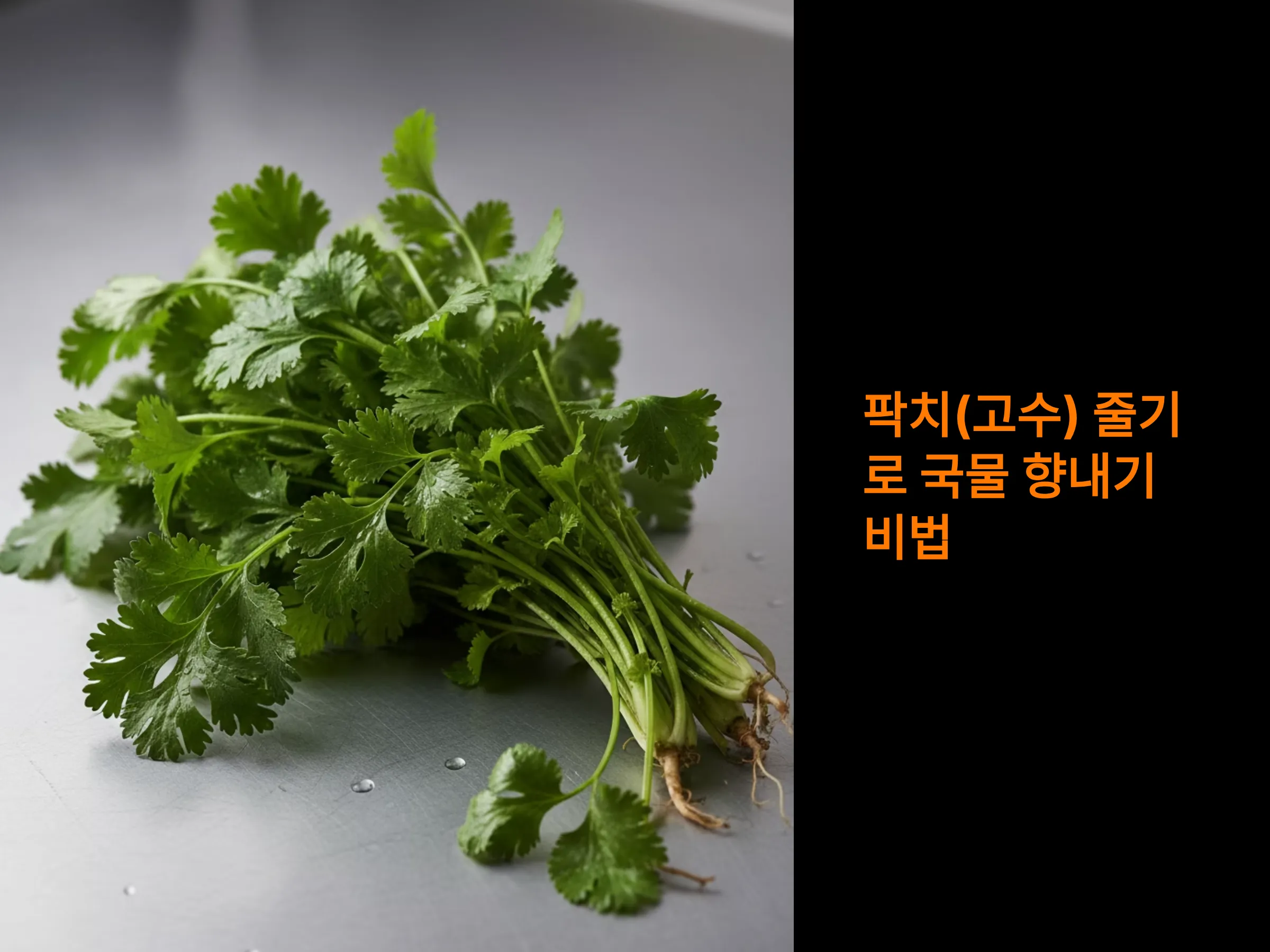 팍치(고수) 줄기로 만드는 향긋한 페이스트