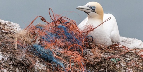 (2025년 환경위기 시대의 건강관리법) 에 관련 사진