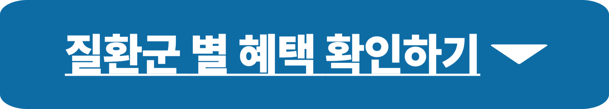 산정특례