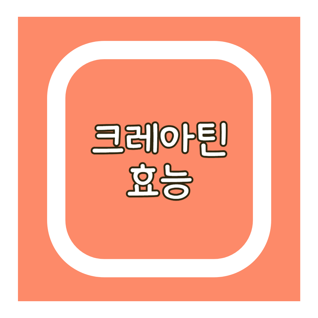 크레아틴 효능
